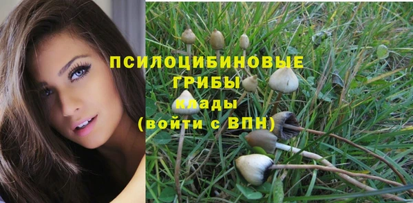 гидропоника Вяземский