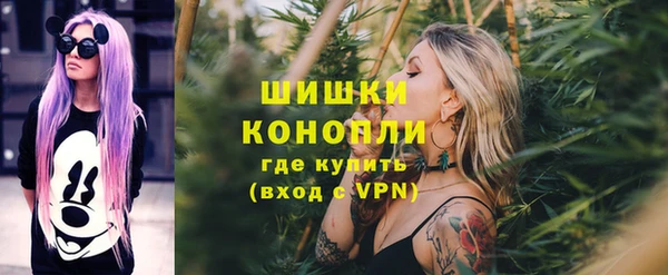 гидропоника Вяземский